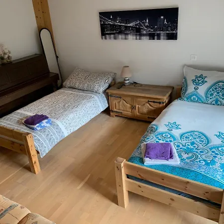 Belmont Dağ evi *